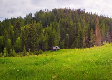 Carpathian scene