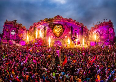 Tomorrowland Mainstage 14