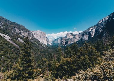 Yosemite National Park