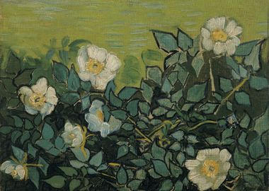 Van Gogh Wild Roses