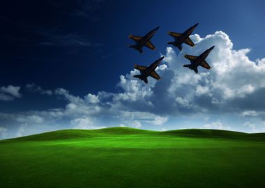 Blue Angels over Meadow