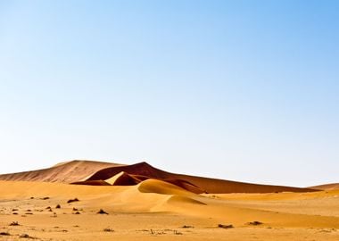 Desert Dunes