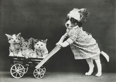 Kitten Baby Stroller Puppy