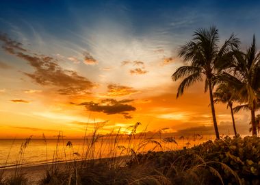 BONITA BEACH Bright Sunset