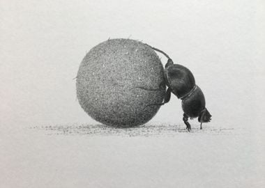 Serengeti dung beetle