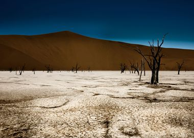 dead vlei namib