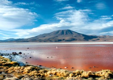 laguna colorada