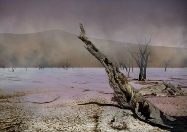 dead vlei in the nambi