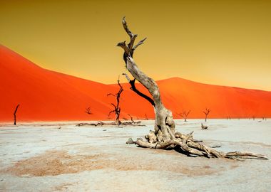 dead vlei namib