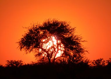 etosha sunset in namibia