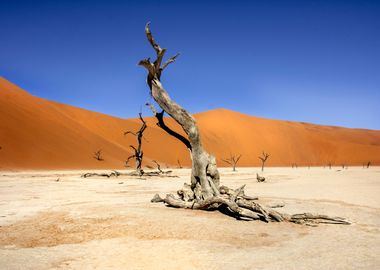 dead vlei namib