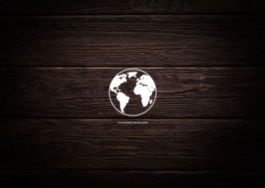 Audience Globe on Wood