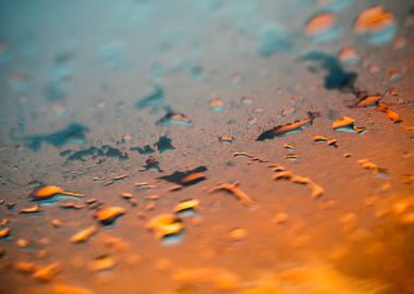 Colorful rain droplets art