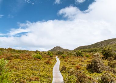 Hartz National Park TAS