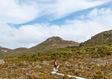 Hartz National Park TAS