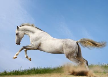 Running Horse