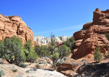 kodachrome basin