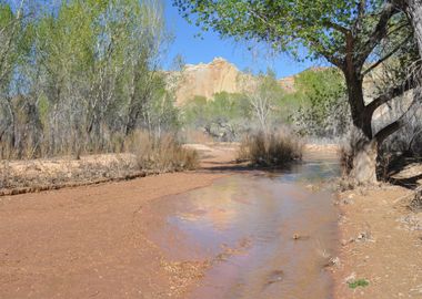 along cottonwood road