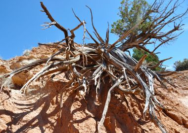 kodachrome basin