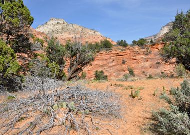 zion canyon natinalpark