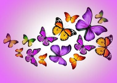 Beautiful Butterflies