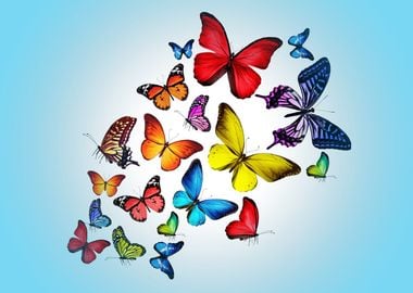 Beautiful Butterflies