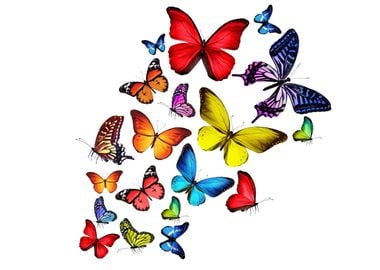 Beautiful Butterflies