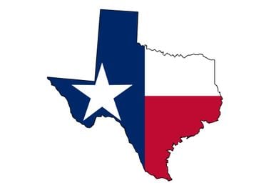 Texas Map Outline and Flag