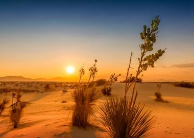 White Sands Sunset 