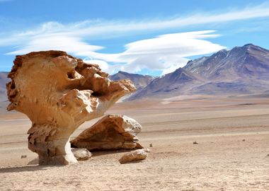 desert in the bolivian and