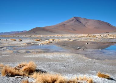 bolivia lagunas