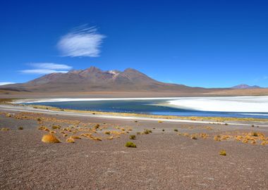 laguna canapa bolivia