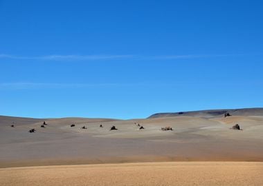 dali desert in the andes