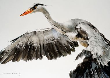 Stork in Flight