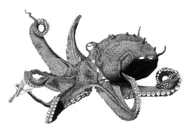 Octopus artwork