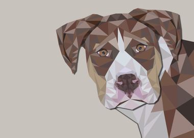 Geometric Dog Art 