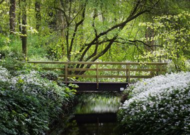 Bridge Over The River And