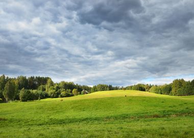 Field In The Overcast Day