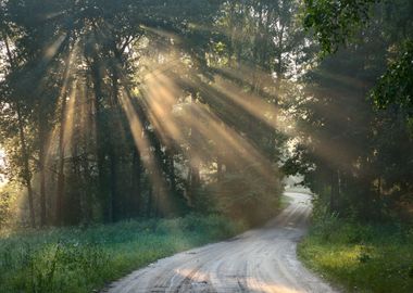 Road And Sunbeams In Stron