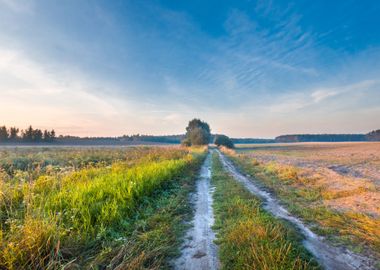 Foggy Morning Meadow Lands