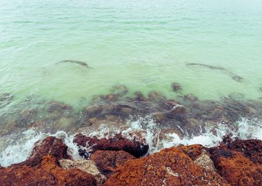 Waves On A Rocky Beach At