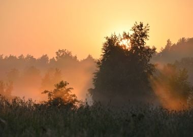 Sun And Morning Fog Above