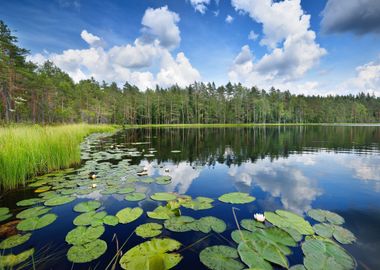 Saimaa Lake In Finland