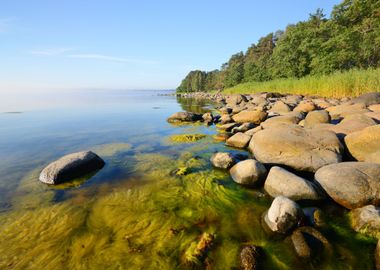 Rocks At The Coast Of Kasm