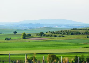 Fields In The Coutryside G