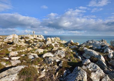 The Cliffs At The Cape Of