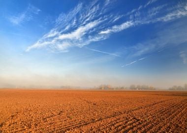 Orange Soil Field Against