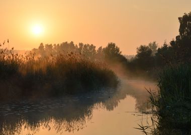 Sun And Morning Fog Above