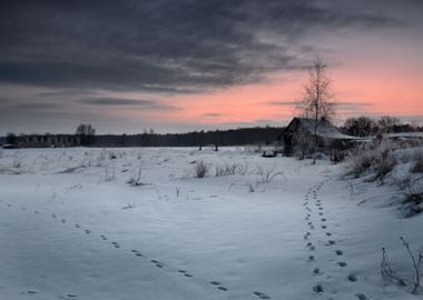 Winter Landscape With Hoar