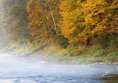 Autumn Gauja River In Sigu